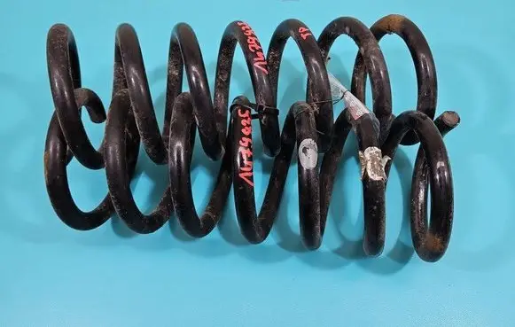Rear coil spring