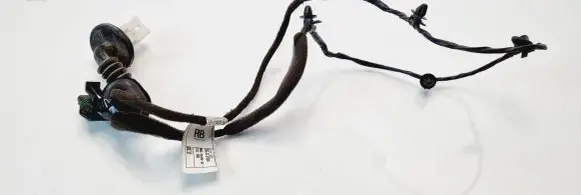 Chevrolet Kalos Rear door wiring loom 96539833RB