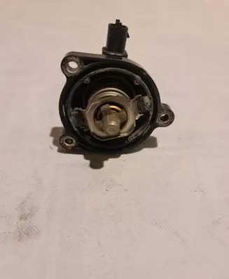 Thermostat/thermostat housing