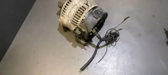 Volkswagen Golf III Generator/alternator 028903025H 0123315002