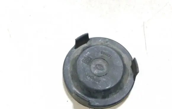 Headlight/headlamp dust cover