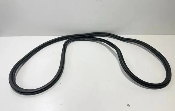 BMW X6 G06 Front door rubber seal 7437779 9465545