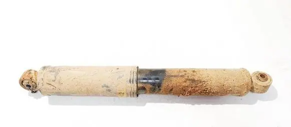 Opel Antara Rear shock absorber/damper
