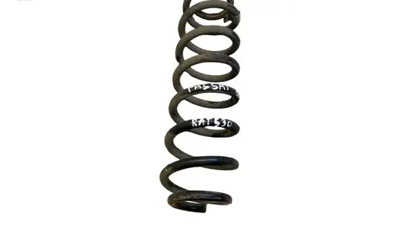 Rear coil spring