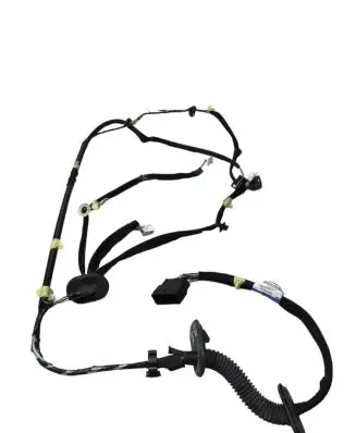 Renault Trafic III (X82) Front door wiring loom 241252495R