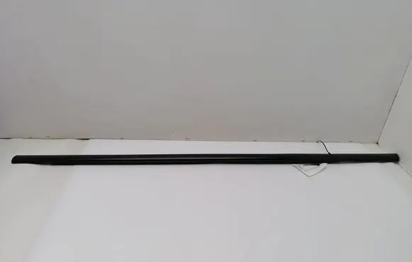 Ford Edge I Front door glass trim molding