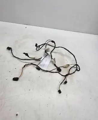Other wiring loom