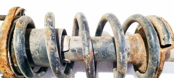 Honda CR-V Rear coil spring 