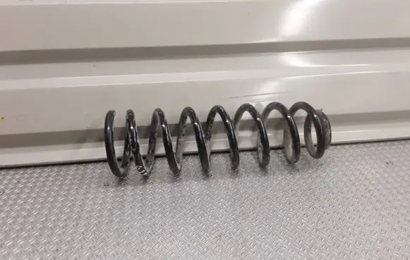 Rear coil spring