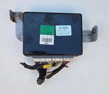 Hyundai Tucson JM Other control units/modules 954002E210