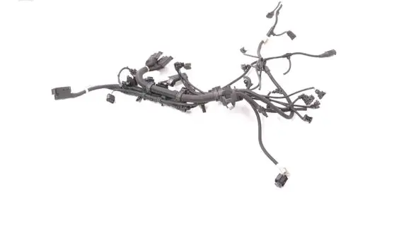 Engine installation wiring loom