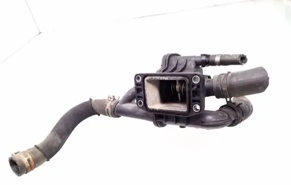 Thermostat/thermostat housing