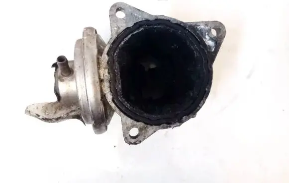 Skoda Octavia Mk2 (1Z) EGR valve 038131501an 306609078