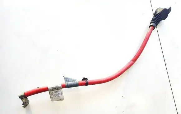 BMW 5 F10 F11 Other wiring loom 9217034 921703602