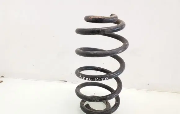 Rear coil spring