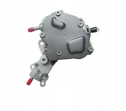 Volkswagen PASSAT B5 Vacuum pump 038145209