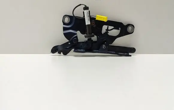 Engine bonnet/hood hinges