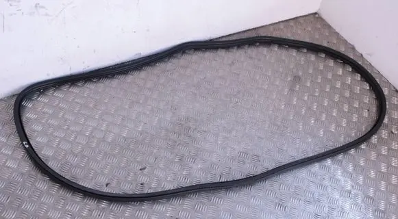 Peugeot 5008 II Rear door rubber seal (on body) 9812586680