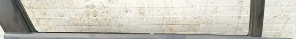 KIA Carens II Front door glass trim molding 