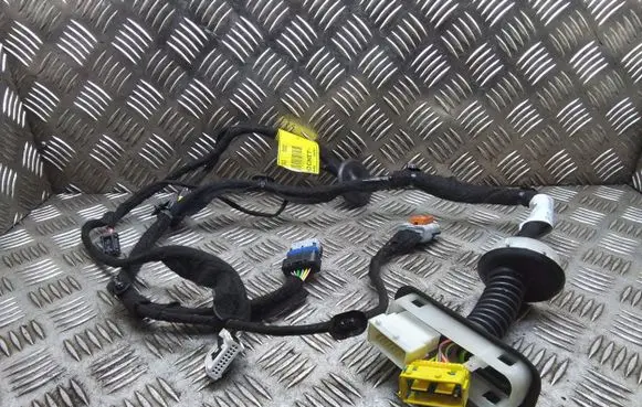Citroen Jumpy Front door wiring loom 9824872080