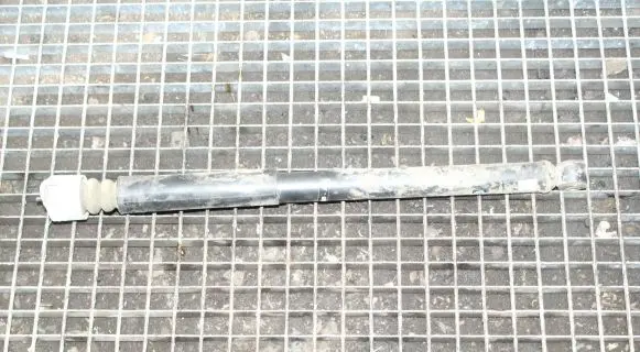 Ford Ecosport Rear shock absorber/damper FN1C18080AB