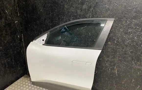 Renault Megane E-Tech Front door 