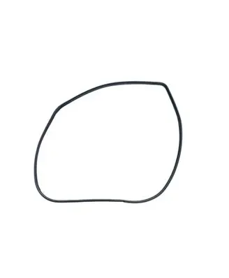 Toyota Sequoia (XK60) Front door rubber seal 623120C050