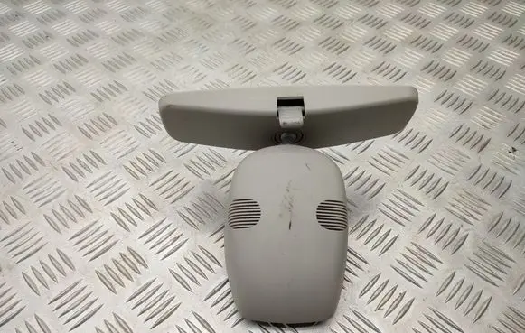 Renault Kangoo II Rear view mirror (interior)