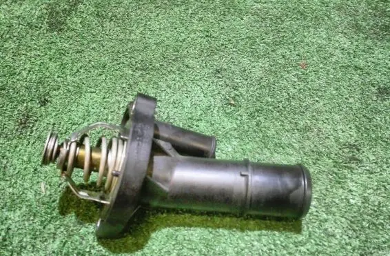 Thermostat/thermostat housing