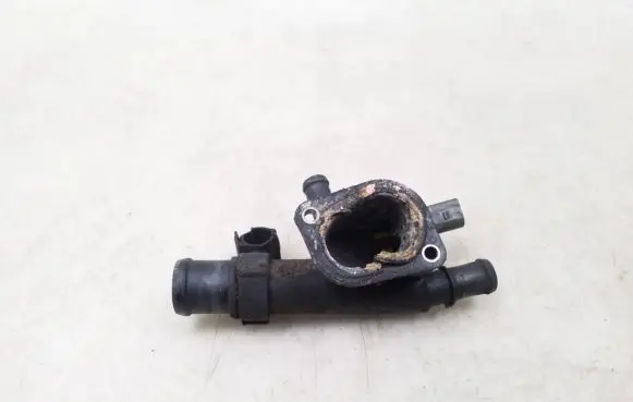 Thermostat/thermostat housing