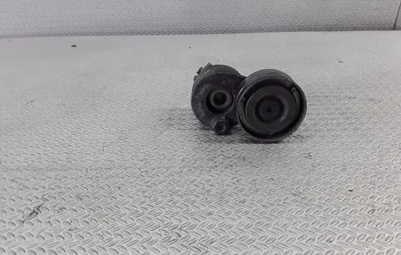 Renault Laguna II Generator/alternator belt tensioner 