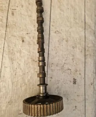 Mitsubishi Pajero Camshaft 031h16