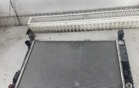 Mercedes-Benz B W245 Coolant radiator A1695001803