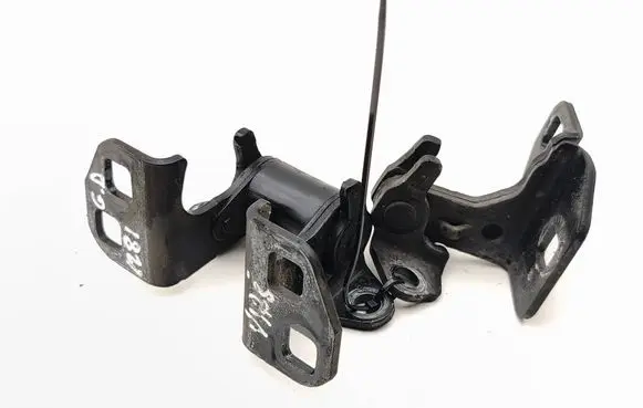 Tesla Model S Rear door hinge set 