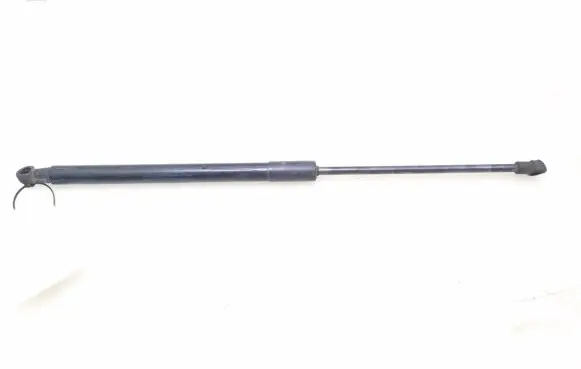 Tailgate strut