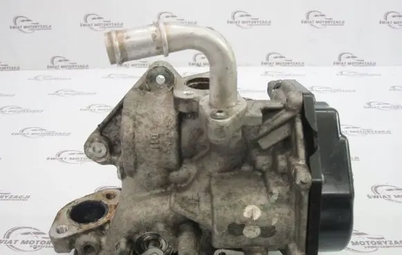 Volkswagen Transporter - Caravelle T5 EGR valve 29048756