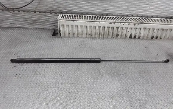 Tailgate/trunk strut/damper