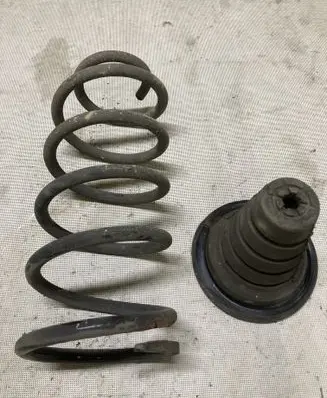 Rear coil spring