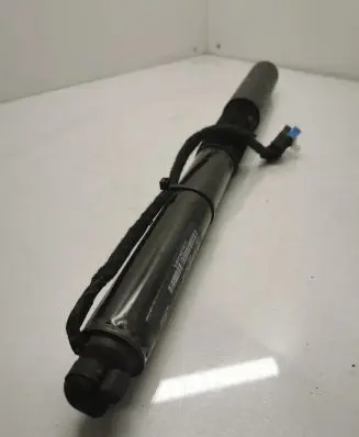 BMW X3 G01 Tailgate strut 7397322