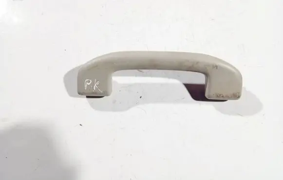 Infiniti QX50 (J50) Front interior roof grab handle