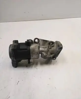 Peugeot 407 EGR valve