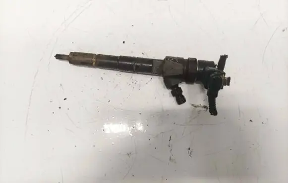 Fiat Croma Fuel injector 0445110243