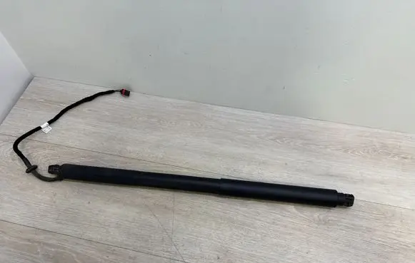 Tailgate/trunk strut/damper