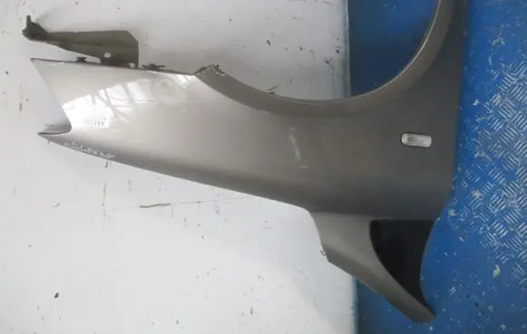 Fiat Multipla Fender