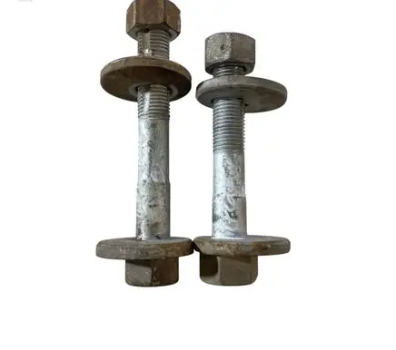 Porsche Cayenne (92A) Rear suspension camber bolt 
