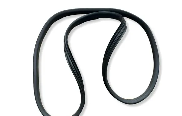 Renault Zoe Front door rubber seal 