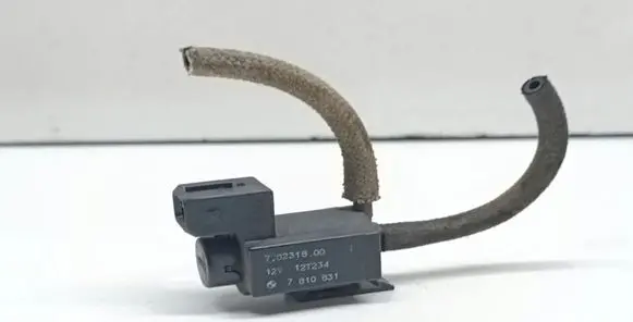 Vacuum valve