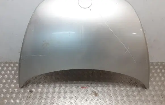 Volkswagen New Beetle Engine bonnet/hood