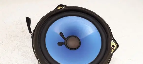 Rear door speaker