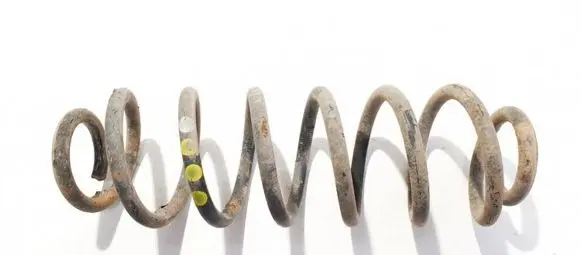 Rear coil spring